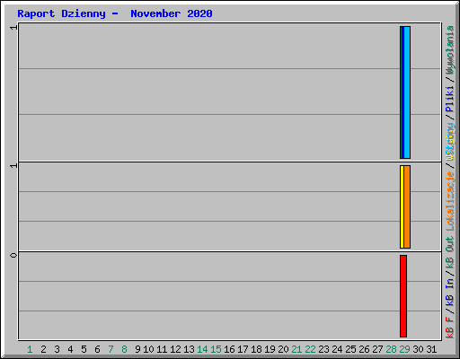 Raport Dzienny -  November 2020