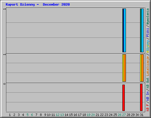 Raport Dzienny -  December 2020