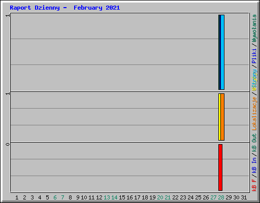 Raport Dzienny -  February 2021