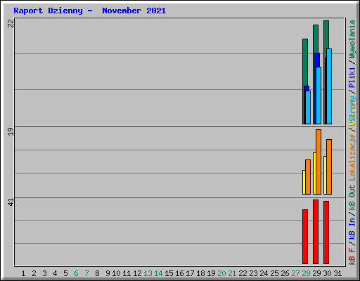 Raport Dzienny -  November 2021