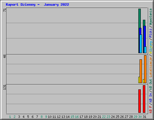 Raport Dzienny -  January 2022