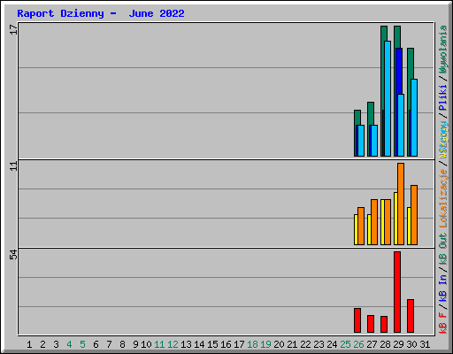 Raport Dzienny -  June 2022