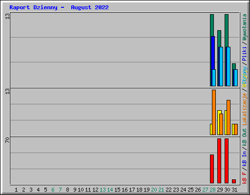 Raport Dzienny -  August 2022