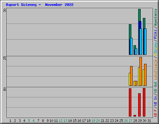 Raport Dzienny -  November 2022