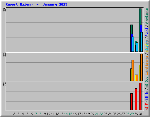 Raport Dzienny -  January 2023