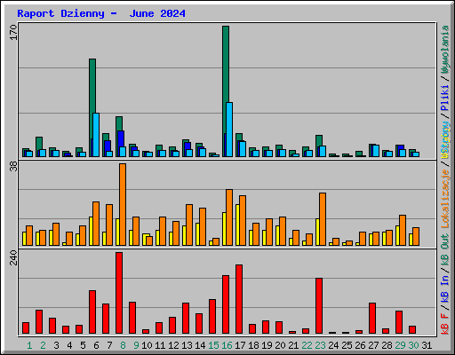 Raport Dzienny -  June 2024