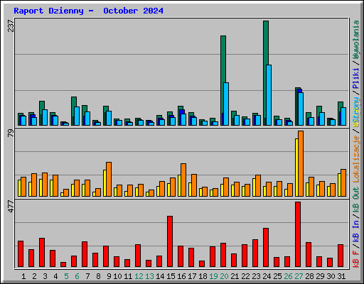 Raport Dzienny -  October 2024