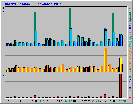 Raport Dzienny -  November 2024