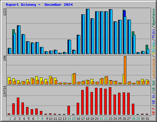 Raport Dzienny -  December 2024