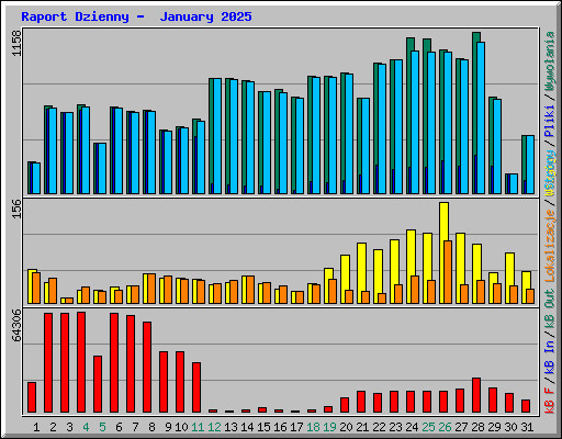 Raport Dzienny -  January 2025