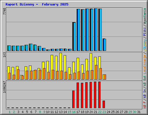 Raport Dzienny -  February 2025