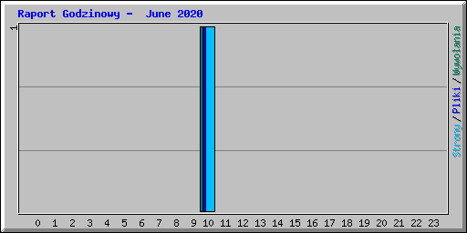 Raport Godzinowy -  June 2020