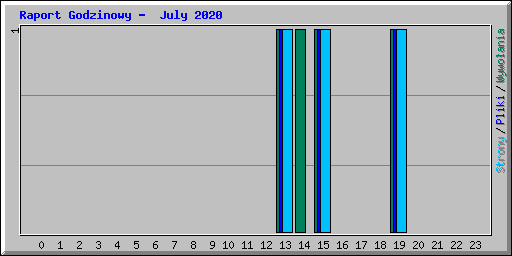 Raport Godzinowy -  July 2020