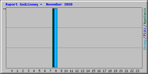 Raport Godzinowy -  November 2020