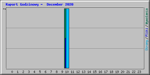 Raport Godzinowy -  December 2020
