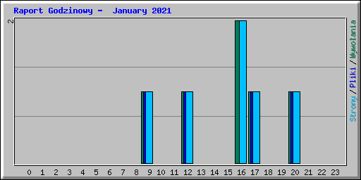 Raport Godzinowy -  January 2021