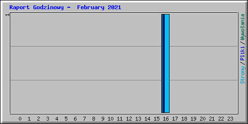 Raport Godzinowy -  February 2021