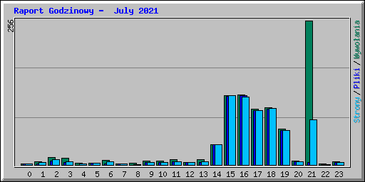 Raport Godzinowy -  July 2021