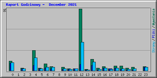 Raport Godzinowy -  December 2021