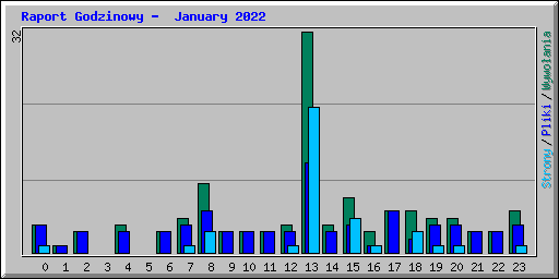 Raport Godzinowy -  January 2022