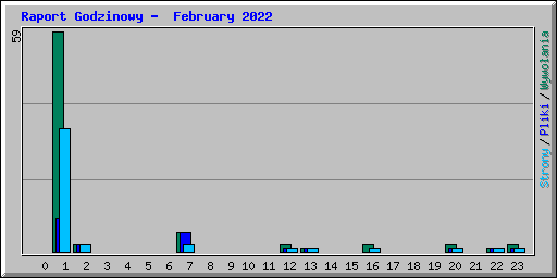 Raport Godzinowy -  February 2022