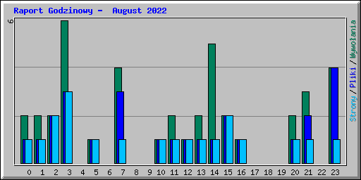 Raport Godzinowy -  August 2022