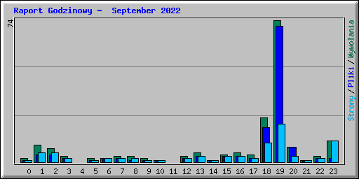 Raport Godzinowy -  September 2022