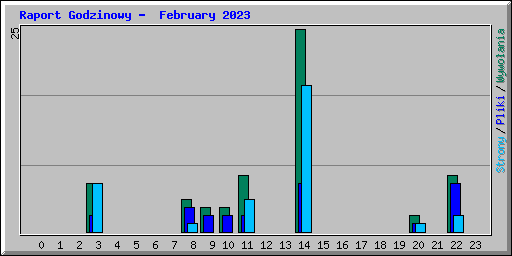 Raport Godzinowy -  February 2023