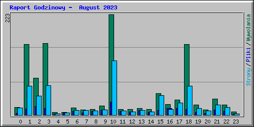 Raport Godzinowy -  August 2023