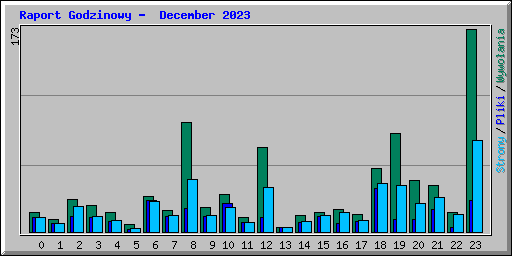 Raport Godzinowy -  December 2023