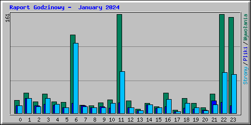 Raport Godzinowy -  January 2024