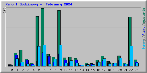 Raport Godzinowy -  February 2024
