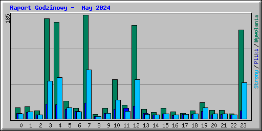 Raport Godzinowy -  May 2024