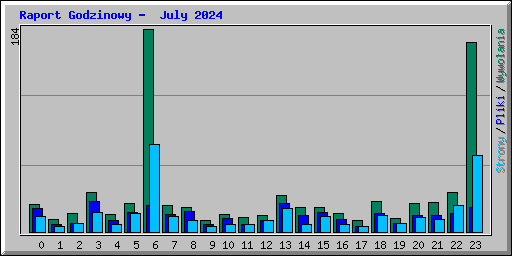 Raport Godzinowy -  July 2024