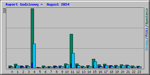 Raport Godzinowy -  August 2024