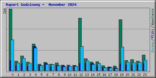 Raport Godzinowy -  November 2024