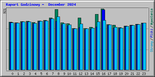 Raport Godzinowy -  December 2024