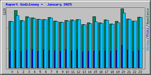 Raport Godzinowy -  January 2025