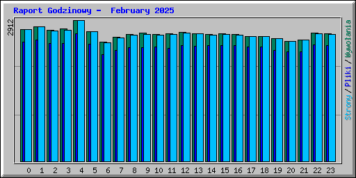 Raport Godzinowy -  February 2025