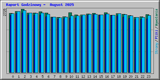 Raport Godzinowy -  August 2025
