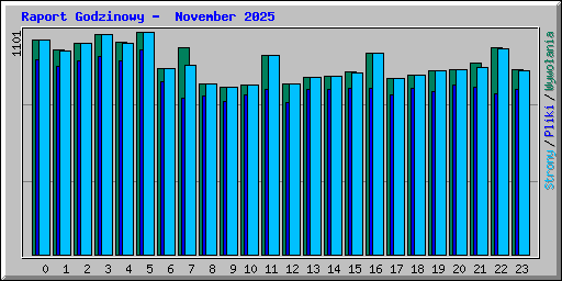 Raport Godzinowy -  November 2025