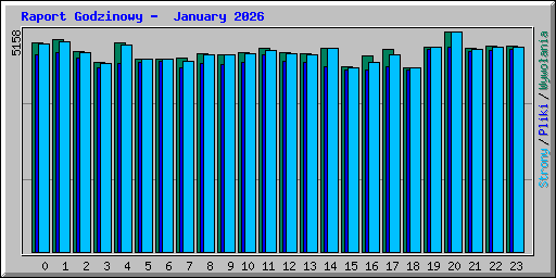 Raport Godzinowy -  January 2026